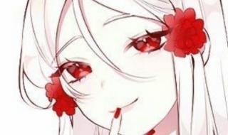 陪你月落与星沉 陪你月落与星沉